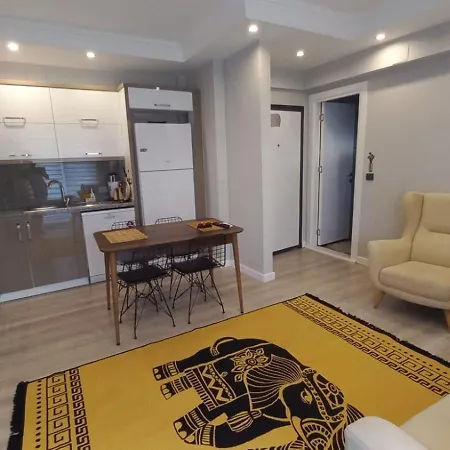 Oznur House Apartment *